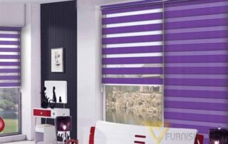 zebra blind